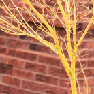 0722c6bde9718a3ffc6f697bdb4a9097.png