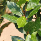 0a6a55b55f79494b89466dc73f480b7d.gif