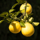 0f13115dd9389a2a8341b30c975a67e7.png