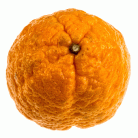 11a4e3e909fe2c3bcf50b825e3897f19.gif