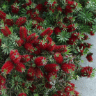 121368c75faa7f11033e7925b9929159.gif