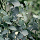 26a83e7be5977c497b8b08716ed3d094.gif