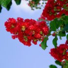 26becfad508881df5445ce372bbbe909.jpg