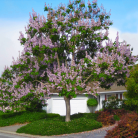 3319196036ec45cf403146f6a332ce3b.png