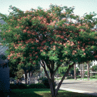 35a5b3fdb0816824ce5c38ee9e304893.gif