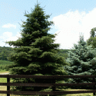 441bffc48902e9222b5c1af4687576f8.gif