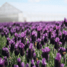 5ad958a879a1f14601b2cc3252b573f1.gif