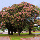 626915170c5169b85f25345c66c9e699.gif