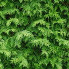 6c206c1ed394c55a152833f608260fe9.jpg
