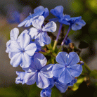 6d6d5dc5b897ea1e5e0bb620ebae0f16.gif