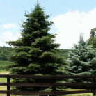 725b8fcb4fa2a59346c1d2ab52ddc948.gif