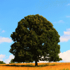 85e774aaf9eeed7e5d0338103099fab3.gif