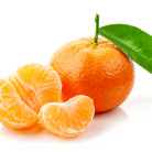 8d277f4d1ca94606a99e32503ddd5d99.png