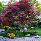 a1132b964f9dcc2f4a5ad731bceb3072.png
