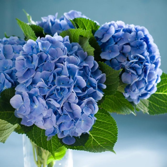 a7d03b06e081cc20cba63aa5c854e93c.jpg