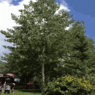a89979a36bf537ec71e0750fcd51d37b.gif