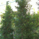 a9a586b7b31648ac481601cba2d46bde.gif