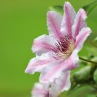 c59819e7a10cebab3b6750bc39a4eef5.jpg