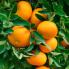 d608782fd9d7c3653ed4b0a7045e1dbb.png