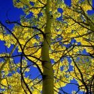 e56fa06761bd62ba2c1f129e7a8e1c33.jpg