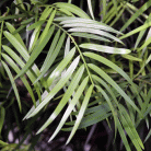e623963fdca66628264e04b974c670b4.gif