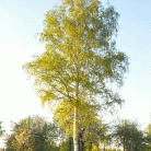 f193cb94e8b4a9389bd0a1e5c1ead583.gif