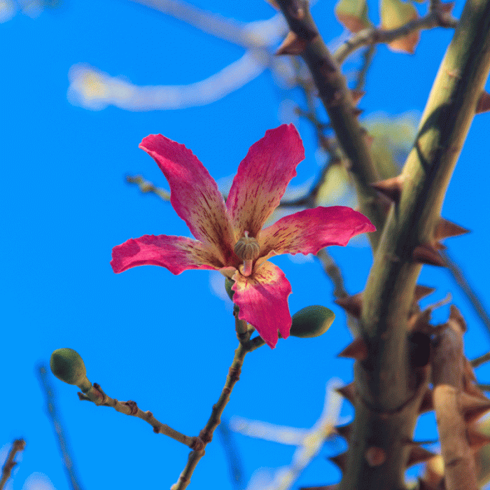 fa596f6653e2887cc8f8b072bf36caca.gif