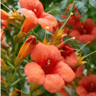 fe30346940c1275ceed9ad48ca6aa7da.gif