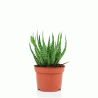 25030e94d34ad6c217c798b89828da41.gif