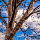 469d09f8273f23f7fe943e1198f58a74.png