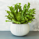 5017bfa878d70a69f64cef4765057610.gif