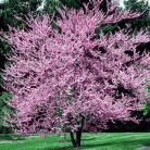 9bb62e5d5c35dd1247deb5fc1f57463a.gif