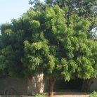 b4598dd1abeeeaf4fbd28dd5eb0afd51.jpg
