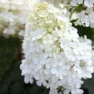 ded017ba8fd747d1aa7abb7be11be6e5.jpg