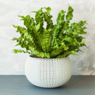e3115a91743124b855f491de2b6e5340.gif